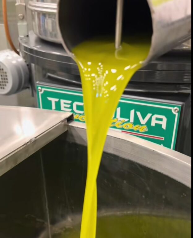 5248392 Olio extravergine